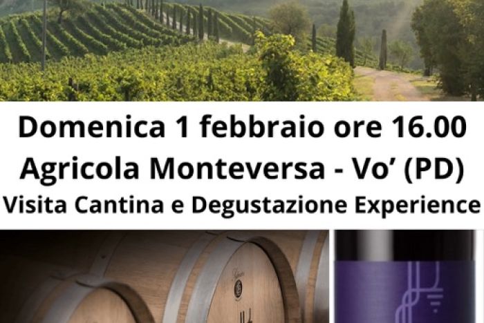 Domenica 1 febbraio ore 16.00: Monteversa Experience - Vini di Suolo, Vini di Radice 
