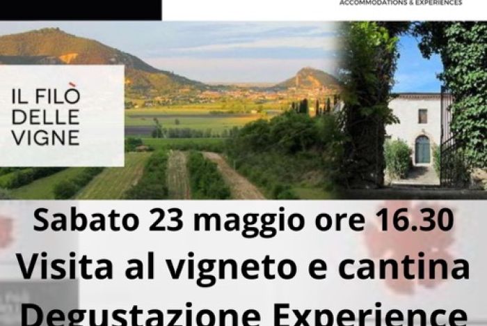 Sabato 23 maggio ore 16.30: Il Filo' delle Vigne Experience - Baone PD
