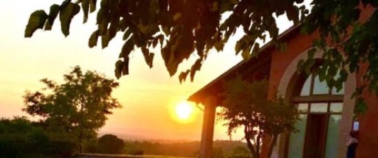 Domenica 28 settembre ore 16.30: Rossi, Rosae E... a Tenuta Zai - Alonte VI
