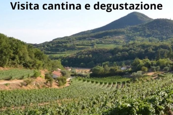 Domenica 8 novembre ore 16: Vignale di Cecilia Experience