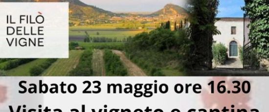 Sabato 23 maggio ore 16.30: Il Filo' delle Vigne Experience - Baone PD