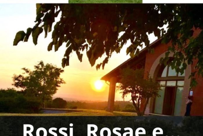 Domenica 28 settembre ore 16.30: Rossi, Rosae E... a Tenuta Zai - Alonte VI