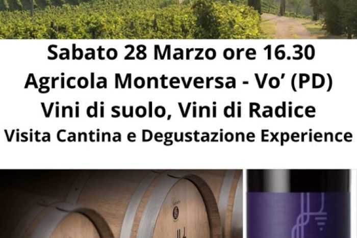 Sabato 28 marzo ore 16.30: Monteversa Experience - Vini di Suolo, Vini di Radice