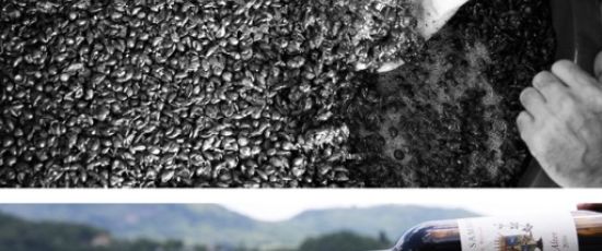 Domenica 2 novembre: Az. Agricola Marco Sambin Experience - L'Artigiano del Vino