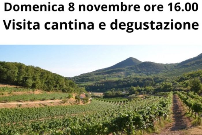 Domenica 8 novembre ore 16: Vignale di Cecilia Experience